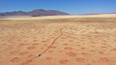 Scientists finally crack mystery behind Namibia’s strange fairy circles
