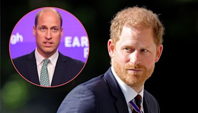 Prince Harry receives dire warning of a calamitous future he must avoid as extent of 'damage' he inflicted on Prince William is outed