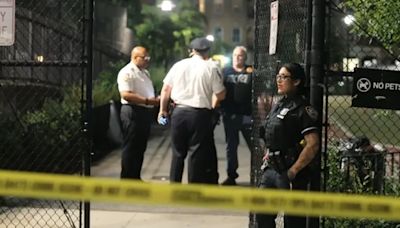 2 young girls caught in crossfire, injured in Brooklyn playground shooting