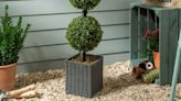 Attractive artificial tree from Dunelm is perfect if your plants keep dying