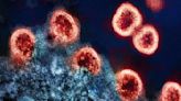 Scientists Discover Potential HIV Cure that Eliminates Disease from Cells Using CRISPR-Cas Gene Editing - Good News Network