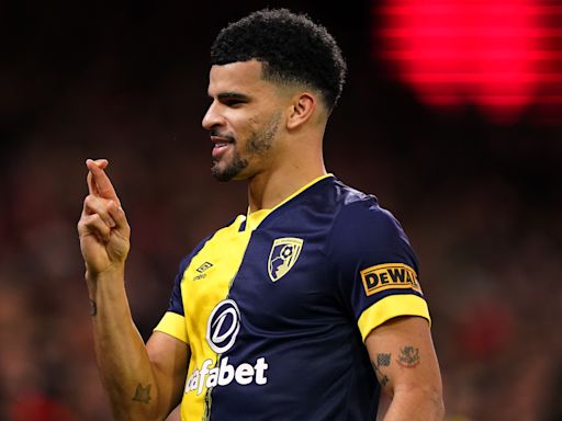 Dominic Solanke can help push Tottenham into top four – Les Ferdinand