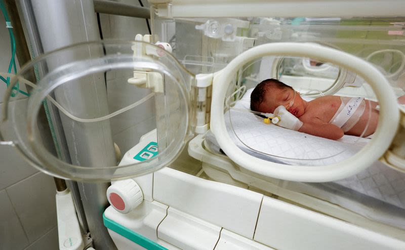 Gaza baby rescued from dead mother's womb dies