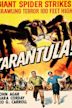 Tarantula (film)
