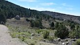 Un paseo por los paisajes recuperados de Sierra Espuña, la madre de todas las reforestaciones