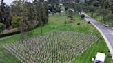 Memorial Day events in L.A. County in memory of those serving U.S. armed forces