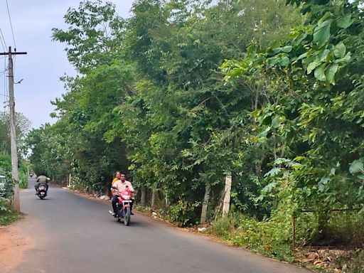 Lack of street lights on East Canal Road at Varaganeri makes it unsafe, complain residents