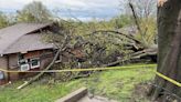 Tree falls on Weston senior living center, four residents displaced