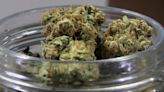 NY collected $33.45 million in weed tax in 2023