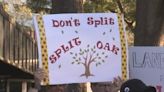 ‘Don’t split, Split Oak’: Orange County to stay the course, continue protecting Split Oak Forest