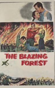 The Blazing Forest