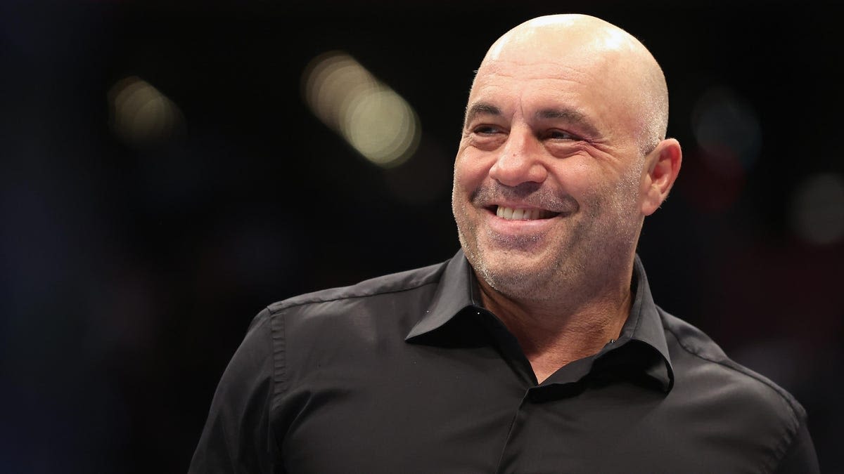 Joe Rogan is the next comedian to do a live Netflix stand up special