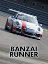 Banzai Runner