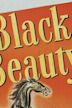 Black Beauty (1946 film)