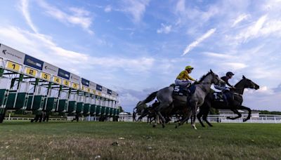 Racing League tips: Tony Ennis' five to follow at Windsor on Thursday evening