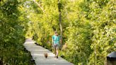 7 Favorite Parks and Trails in DC