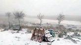 VIDEO: Así son las fuertes nevadas que caen en Córdoba