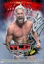 TLC: Tables, Ladders & Chairs (2014)