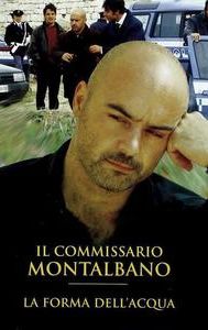 Il Commissario Montalbano: La forma dell'acqua