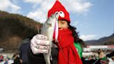 世界四大冰雪節之一！華川山鱒魚節，這個冬天到韓國體驗冰釣樂趣～