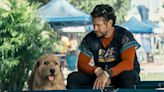 Mark Wahlberg’s ‘Inspirational’ New Movie ‘Arthur the King’ Is a Real Dog