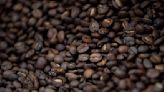 Opinion | It Matters Where Your Coffee Is Farmed