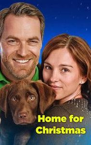 Coming Home for Christmas (film)