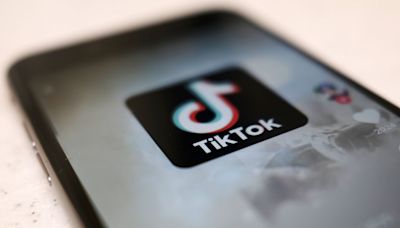 Los eurocandidatos se enfrentan al dilema del uso de TikTok en campaña