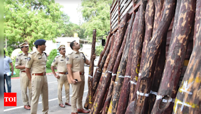 Kadapa police seize Rs.1.91 crore worth logs and vehicles | Vijayawada News - Times of India