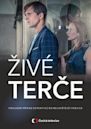 Zivé terce