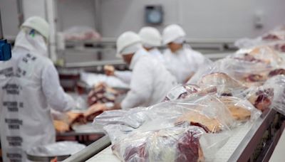 En el primer semestre se exportó un 13% más de carne vacuna, pero el ingreso de dólares creció 0,6%
