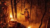 Mosquito fire surpasses 63,000 acres to become largest blaze in California this year