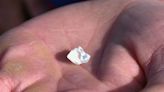 Man Who Took Girlfriend to Park Discovers 4.87-Carat Diamond, Mistakes It for Piece of Glass