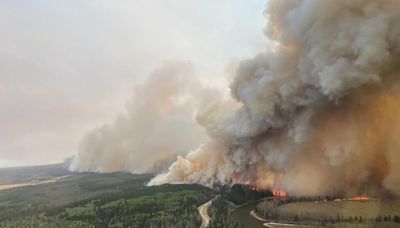 Environnement: en 2023, les forêts et les sols ont beaucoup moins absorbé de CO2 que les années précédentes