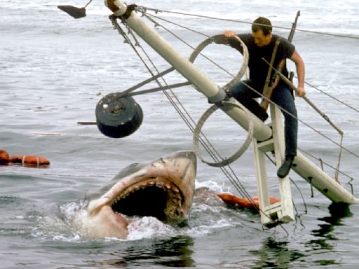 'Tiburón' y la tragedia real que cambiará tu forma de ver el clásico de Steven Spielberg cuando la conozcas