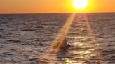 Naufragio en Mar del Plata: tras siete días de rastrillaje, acotan el operativo de búsqueda de los dos tripulantes desaparecidos