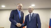 Putin, Erdogan expected to talk grain deal in late August meeting