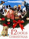 The 12 Dogs of Christmas