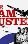 The Dam Busters (film)