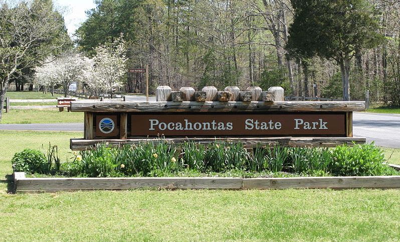 Learn how to identify common trees at Pocahontas State Park