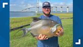 What a catch! Georgia man sets new saltwater fish record