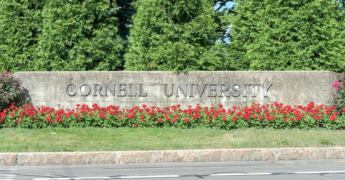 Cornell president to step down, third leader of Ivy League school this year