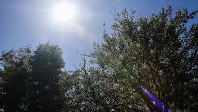 Daily high temperature record tied in Dallas-Fort Worth area Wednesday, NWS says