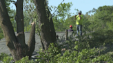 Michigan residents affected by tornadoes eligible for food assistance replacement