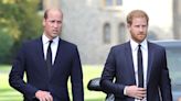 Prince Harry gets surprise 40th birthday message from older brother