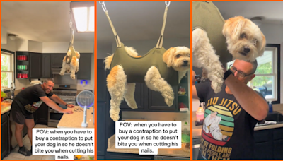 'Now this is air jail': Adorable pup keeps biting his humans when they trim his nails, so they come up with hilarious yet effective workaround