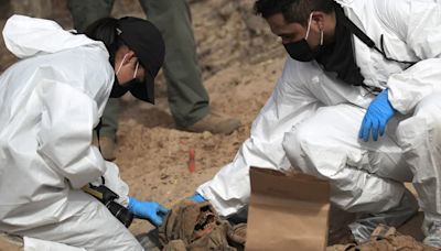 Exhuman 30 cuerpos de 29 fosas clandestinas en Tecomán, Colima, territorio del CJNG y Cártel de Sinaloa