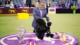 A little dog wins big at the Westminster Dog Show
