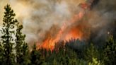 La emisión de CO₂ de los incendios forestales de Canadá en 2023 cuadruplicaron a las de los aviones