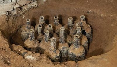 18th century bottles filled with cherries unearthed at George Washington's Mount Vernon